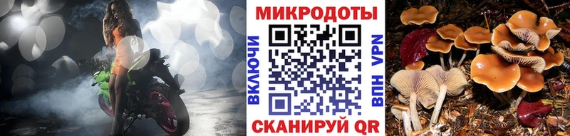 Псилоцибиновые грибы прущие грибы  Купить  Переславль-Залесский 