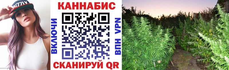 Купить где  Переславль-Залесский  Бошки марихуана сатива 
